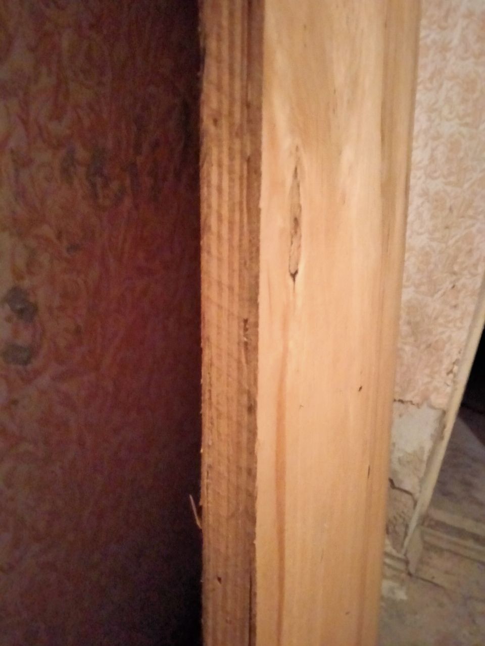 Двери деревянные с коробкой