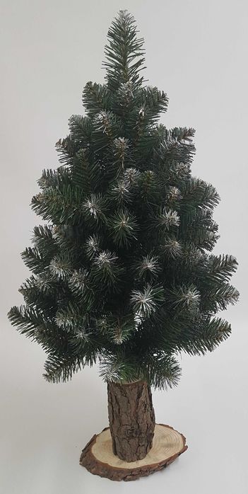 Choinka na pniu, jodła śnieżona 100 cm