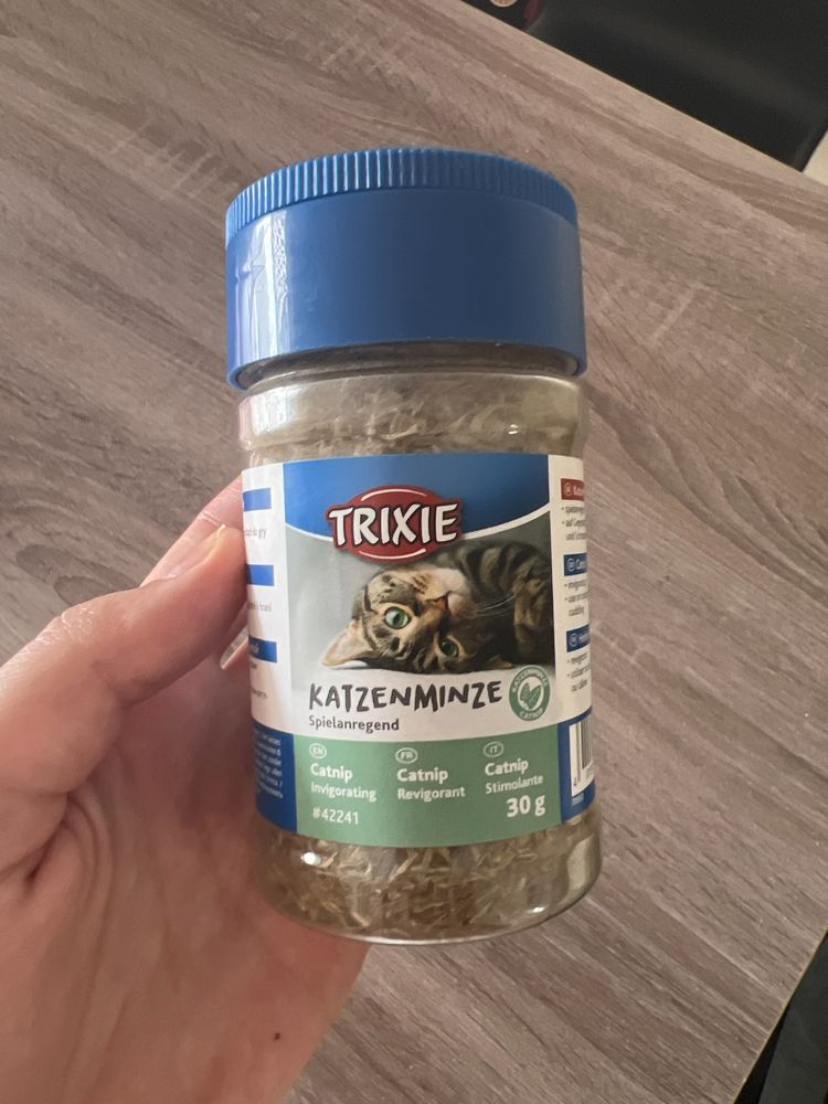 Catnip, erva para gato