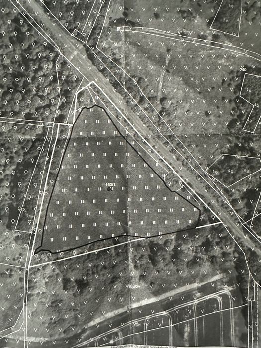 Działka rolna 1.60 h  w studniskach dolnych gmina Sulikow .