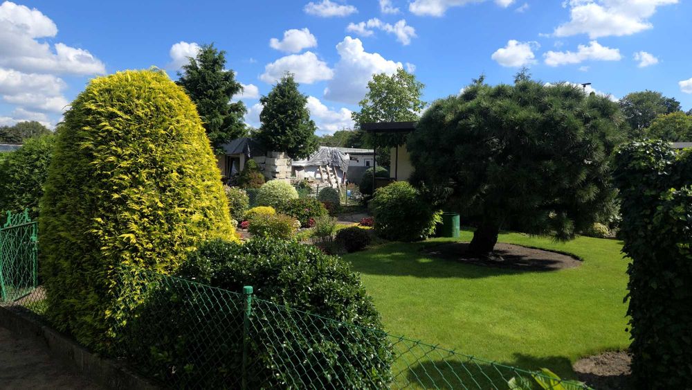 Działka ROD Złotowska 102 PROMOCJA!!!