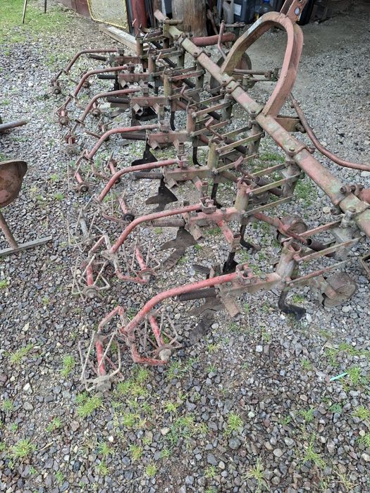 Wielorak planetka pielnik