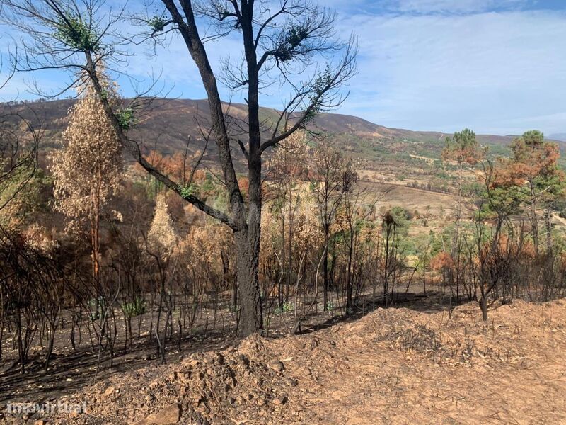 Terreno / Fundão, Freixial