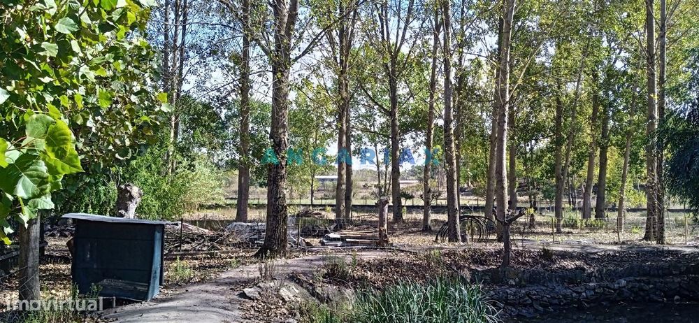 ANG1239 - Herdade para Venda em Vieira de Leiria