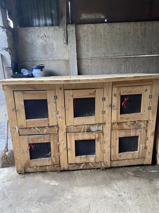 Klatki dla królików