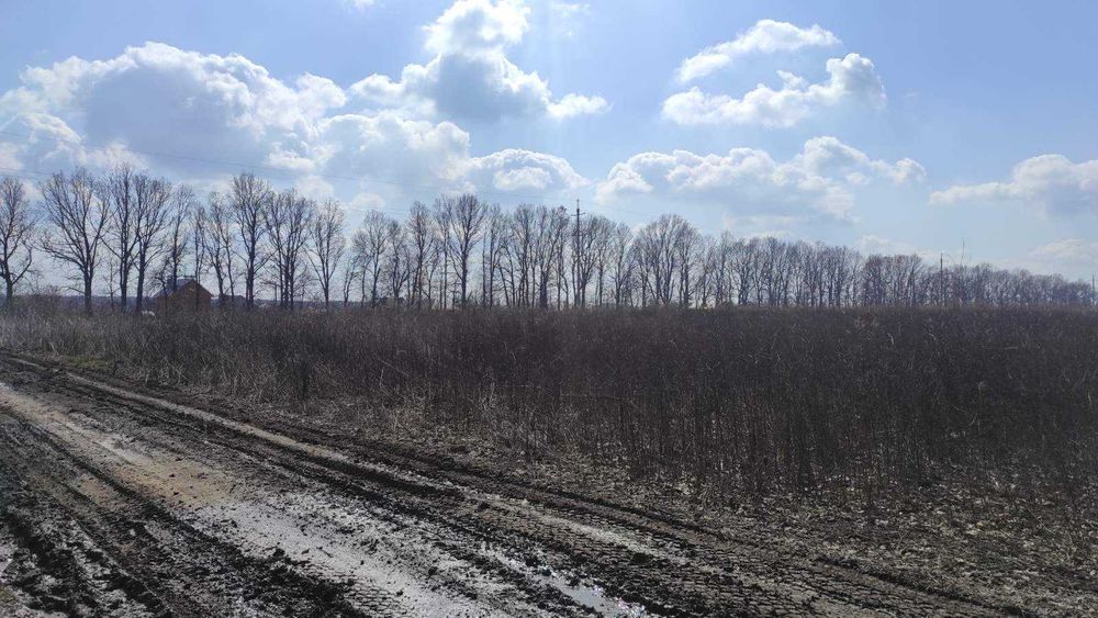 Продам ділянку в Агрономічному 3030