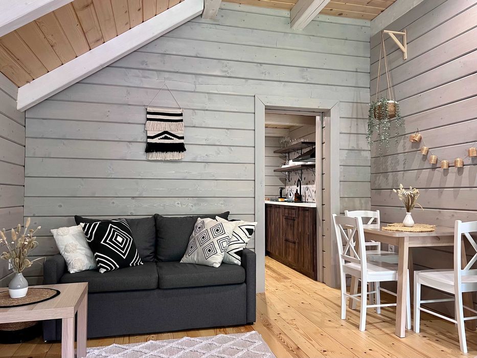 СУЧАСНИЙ БУДИНОК, відпочинок В КАРПАТАХ біля річки та лісу, зал 30м2