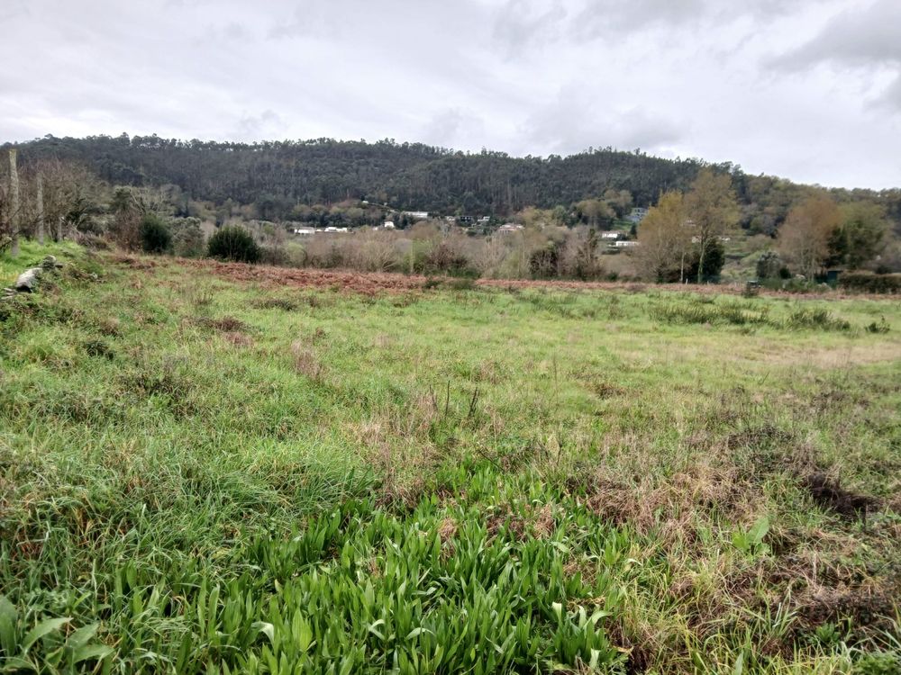 Terreno em Barbudo (Vila Verde) - PREÇO SOB SONSULTA