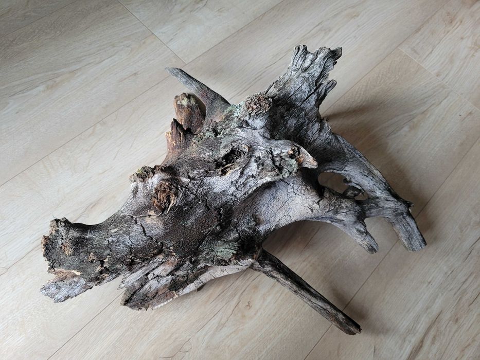 naturalny duży korzeń do akwarium terrarium dł. 42 cm
