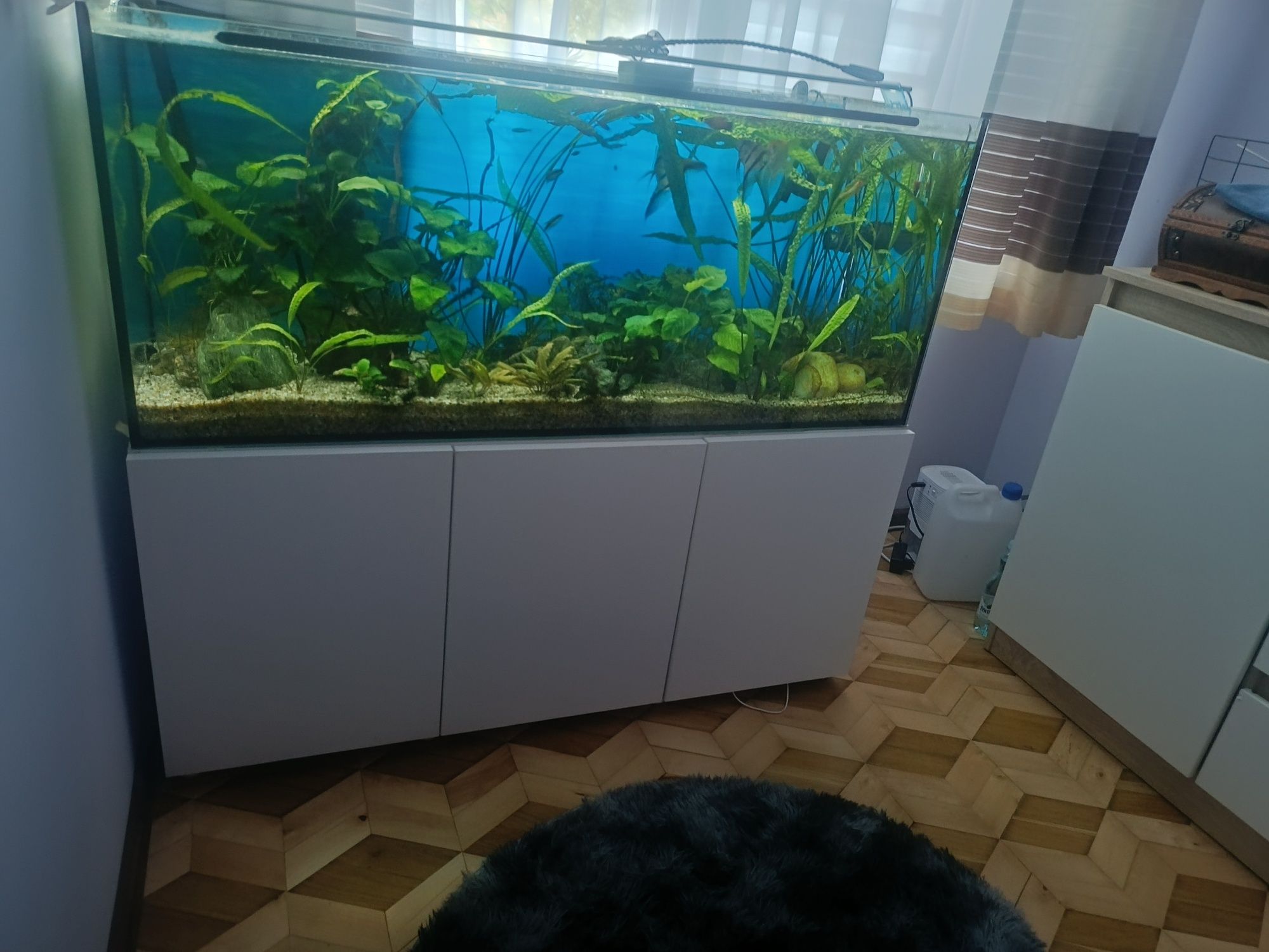 Akwarium 240L +szafka pełne wyposażenie+inne