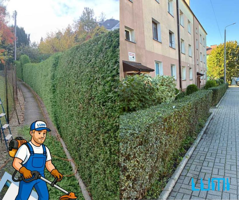 Koszenie trawy, przycinanie żywopłotów, przycinanie drzew – Śląskie