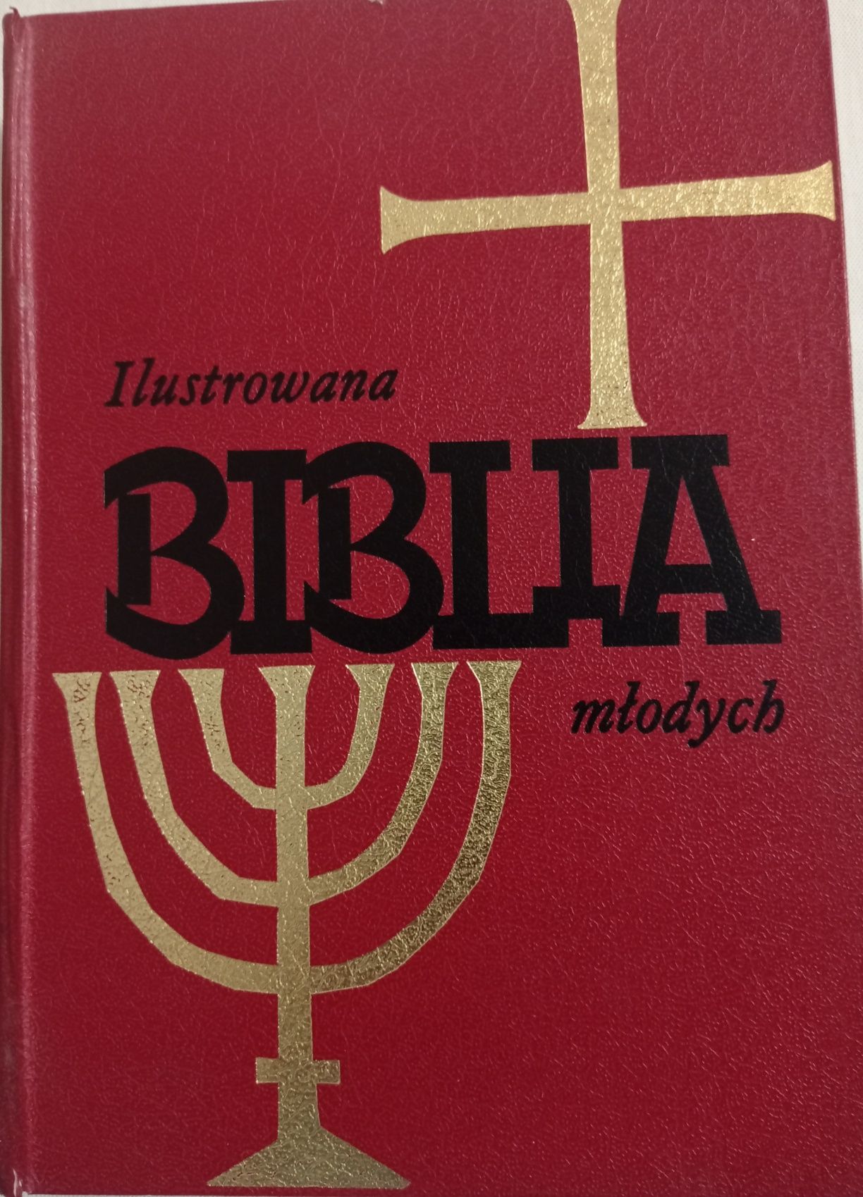 Ilustrowana Biblia młodych