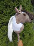 Super cena. Hobby horse.