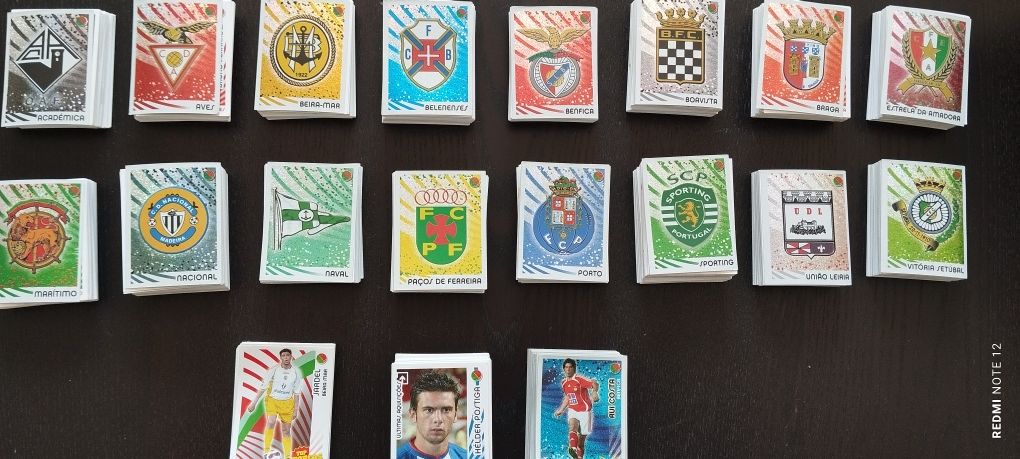 Panini 2006/2007     Euro 2008