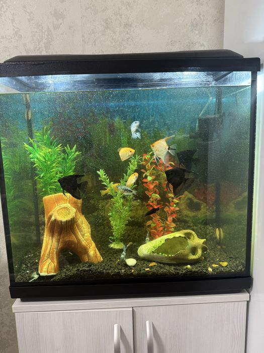 Аквариум 90 л  полностью укомплектован