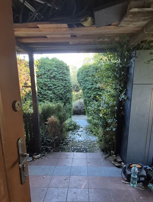 Działka ROD im. Paszkowiaka w Poznaniu, 550m²