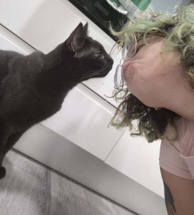 Dogwalking e Petsitting