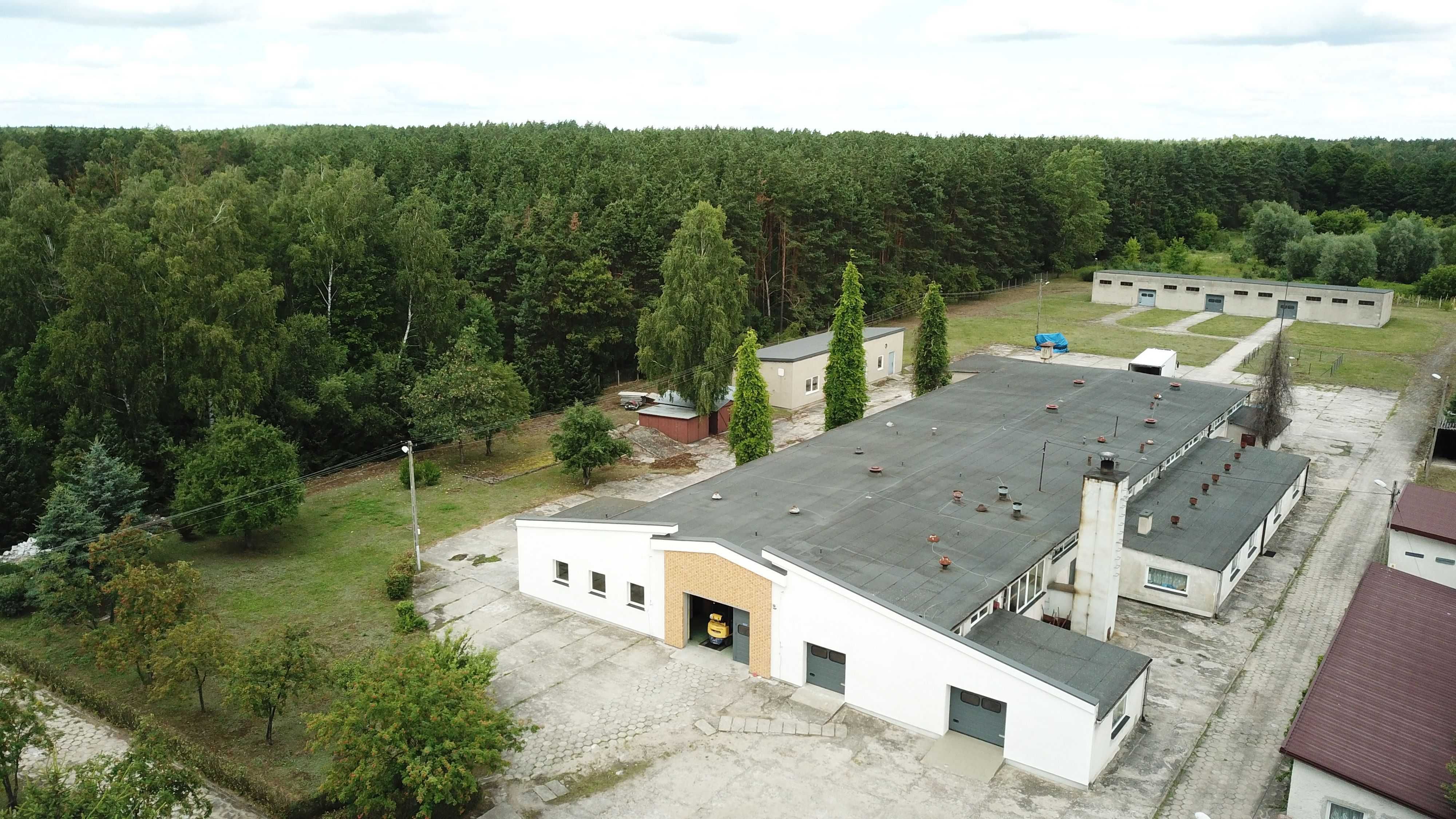 Nieruchomość w Wielbarku z halą produkcyjno-przemysłową