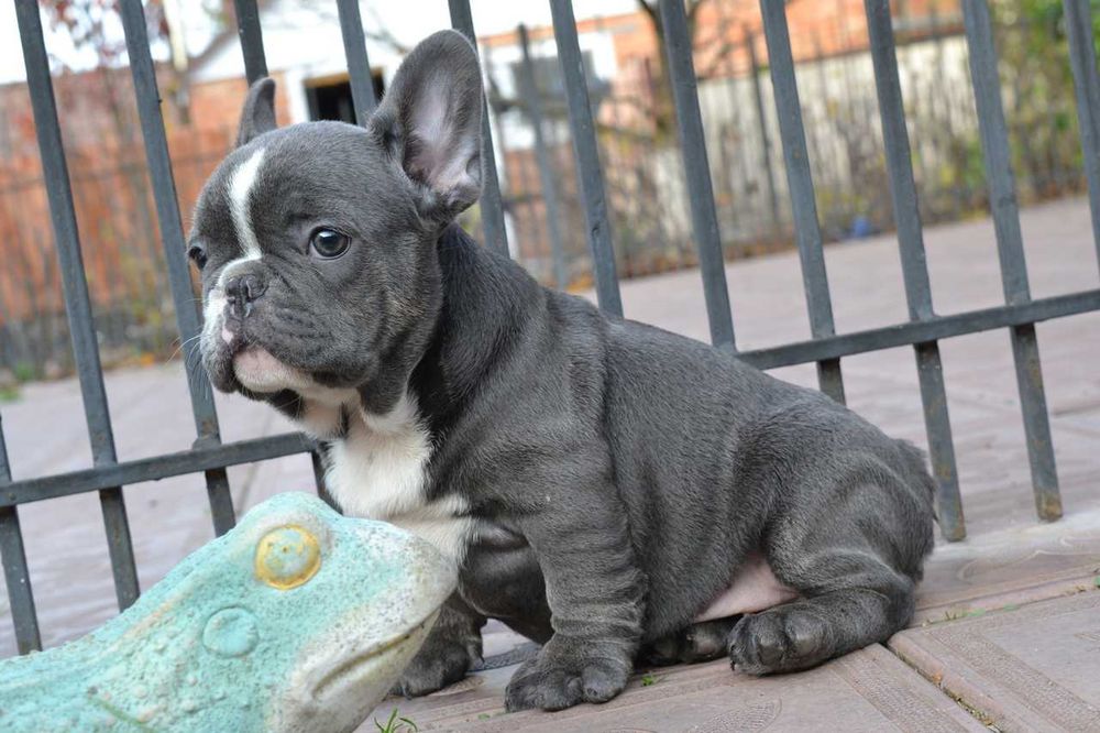 мальчик вип качество