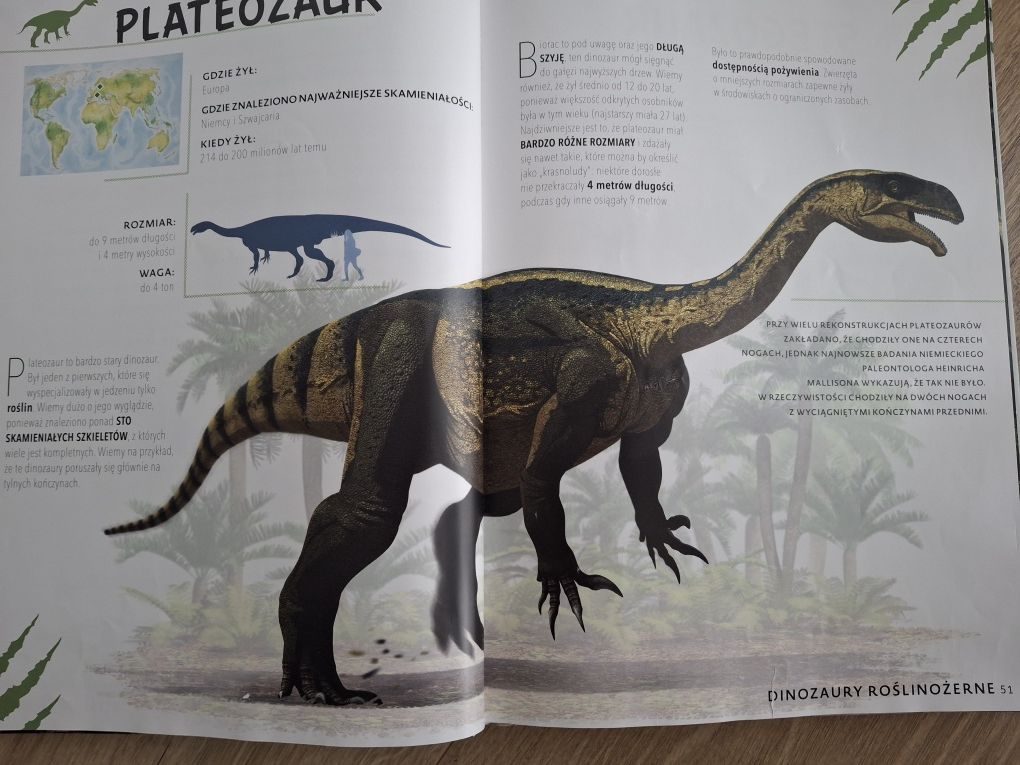 Książka dla dzieci Wszystko o dinozaurach