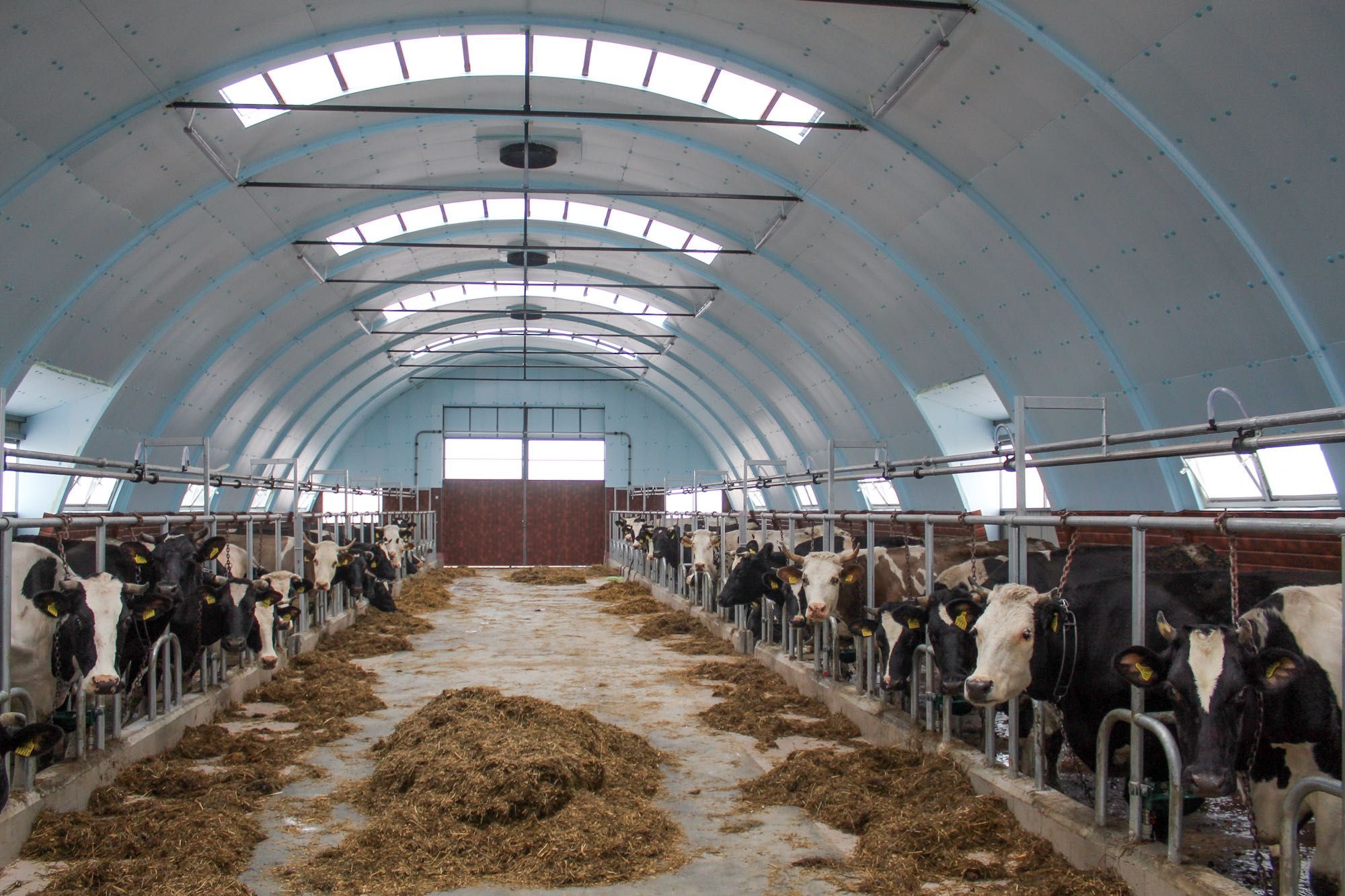 Termoizolacja Hala Łukowa Tunelowa Stalowa Agrohala Styrodur XPS AGRO