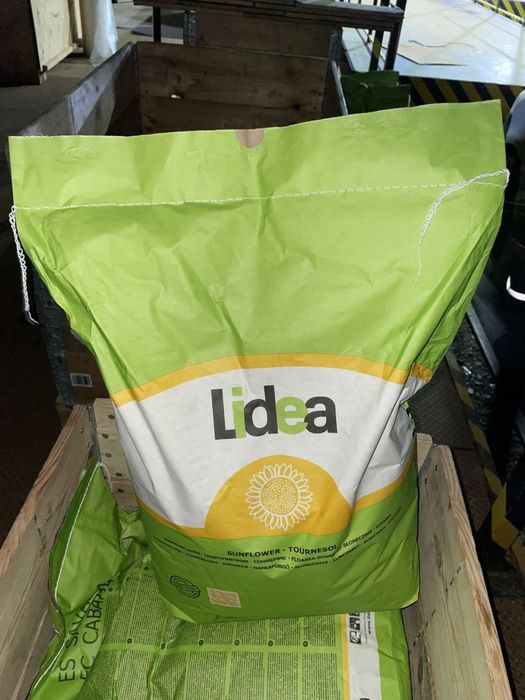 Продаж сонях та кукурудзи