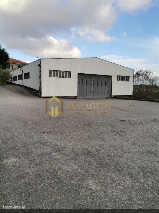 Artigo em Eiriz composto por casa, armazém e terreno