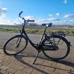 Rower Gazelle Arroyo C7