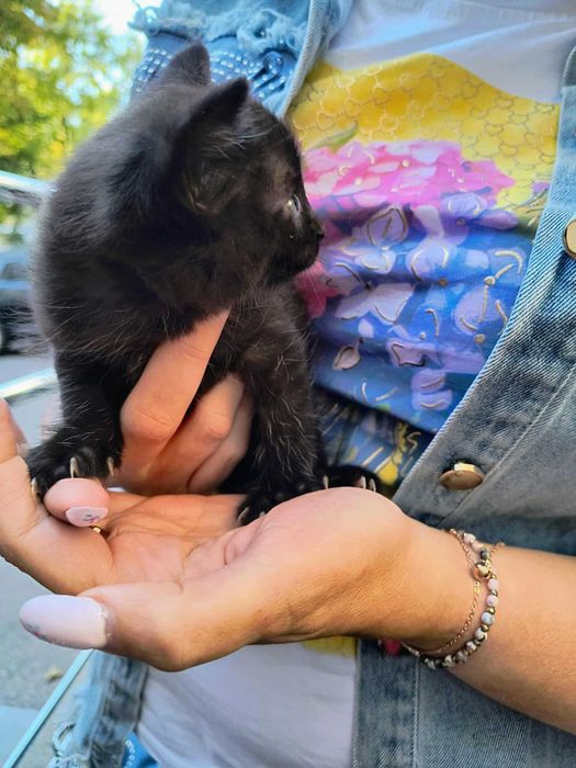 5 maluszków do pilnej adopcji