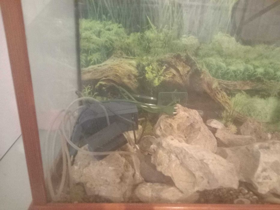 Aquário Grande com Mesa