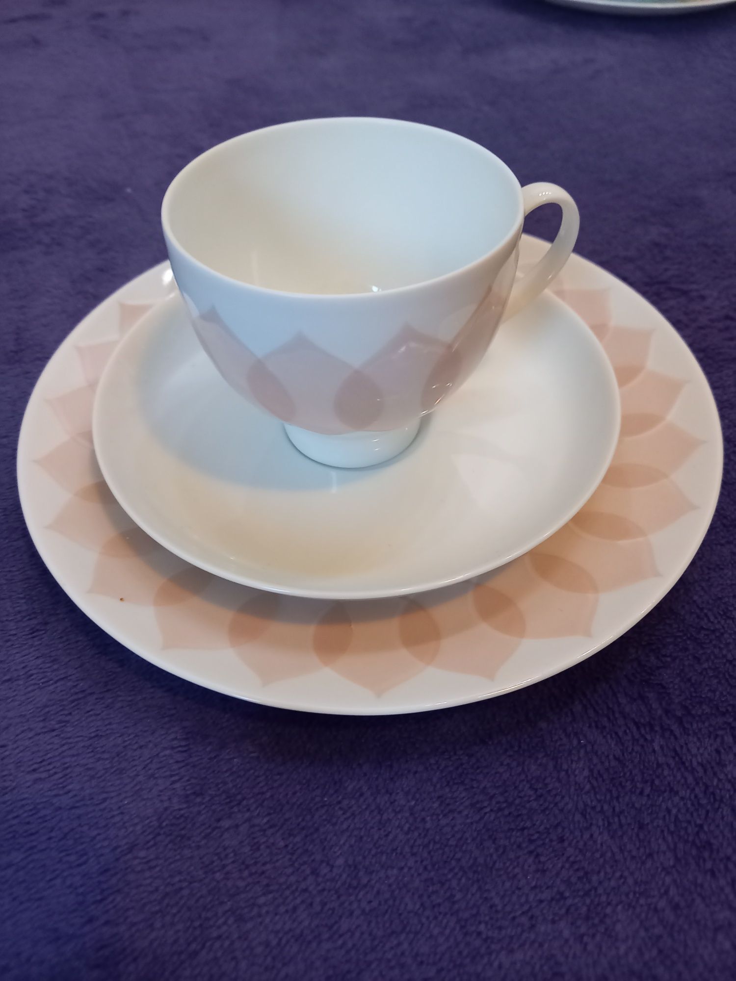Serwis Rosenthal Lotus.