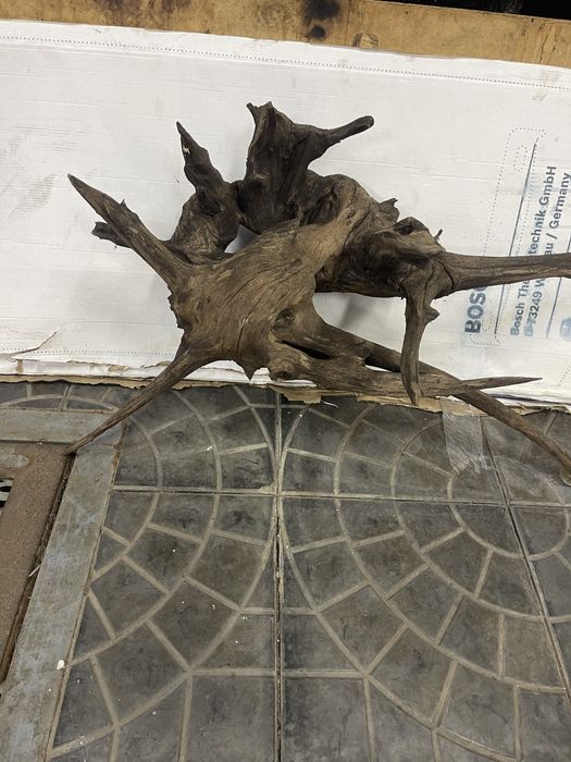 Корень в аквариум