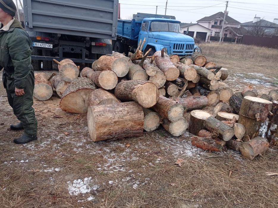 Дрова дубові, соснові, вільха, акація!