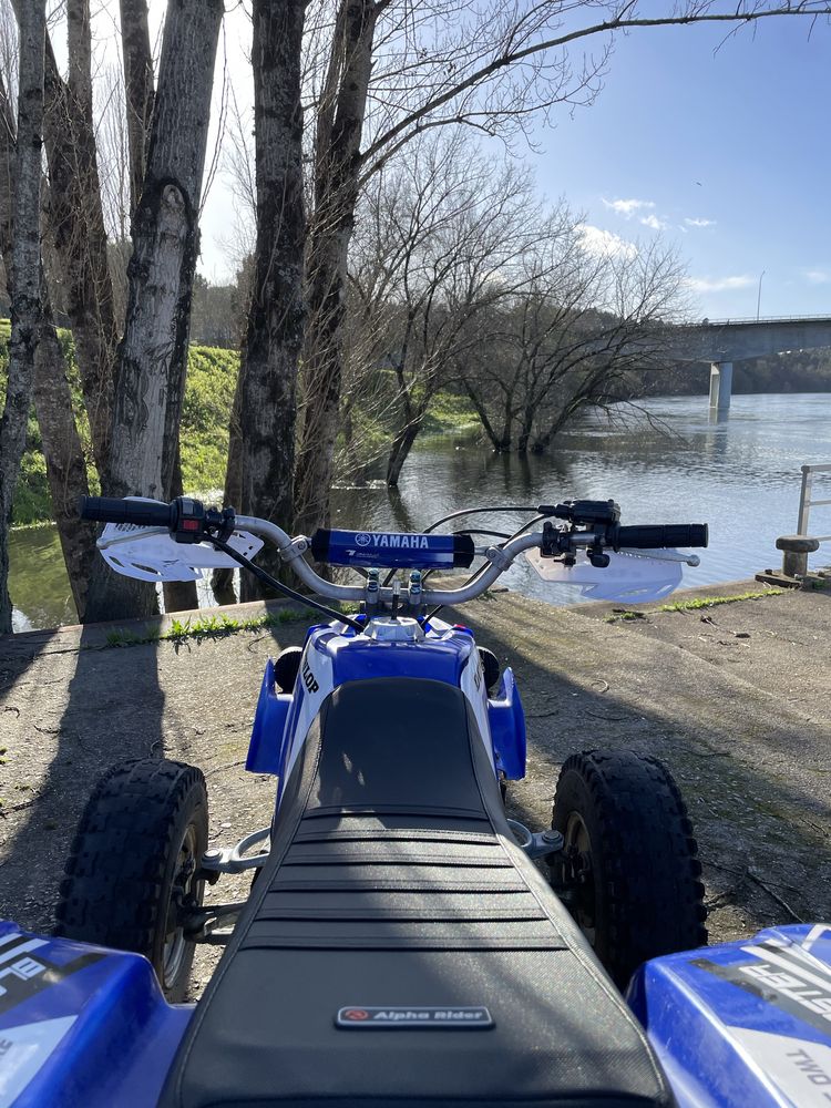 Yamaha blaster yfs 200