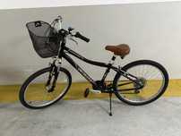 specialized expedition