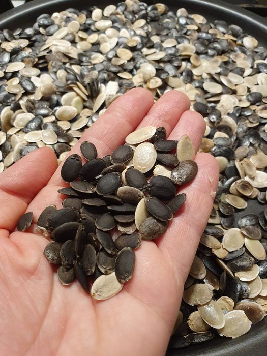 Продам люфу: органічні мочалки та насіння з люфи