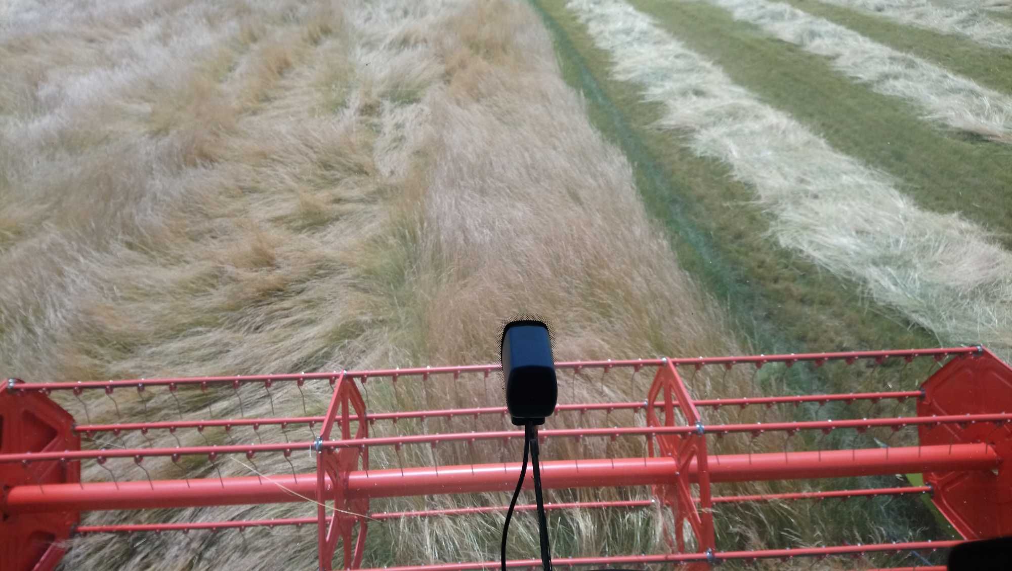 Sprzedam nas*ona trawy ARETA rozlogowa