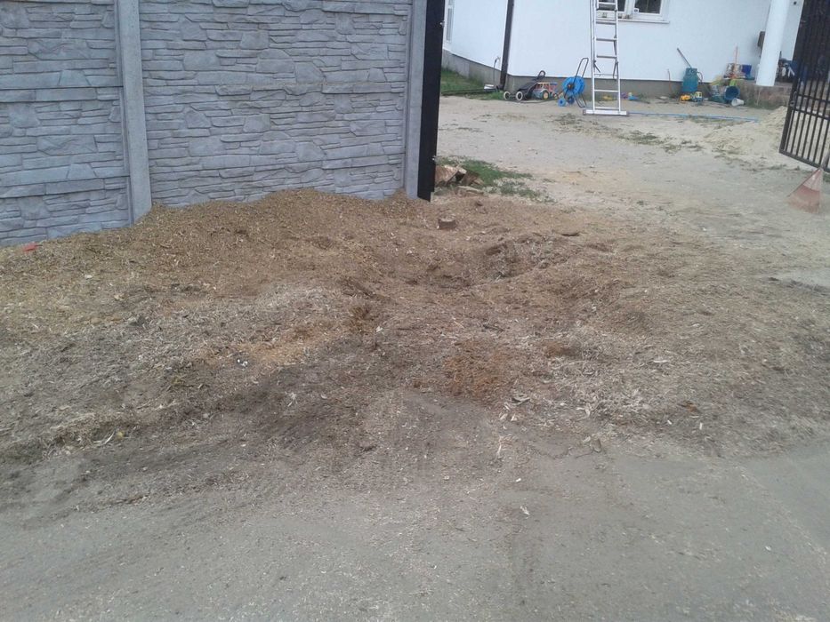 sprzątanie usuwanie rozdrabnianie gałęzi z działek rębakiem Lutomiersk