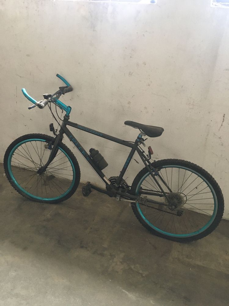 Bicicleta de adulto