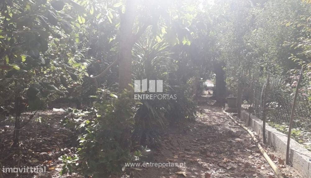 Venda de Terreno, Vila Nova de Anha, Viana do Castelo.