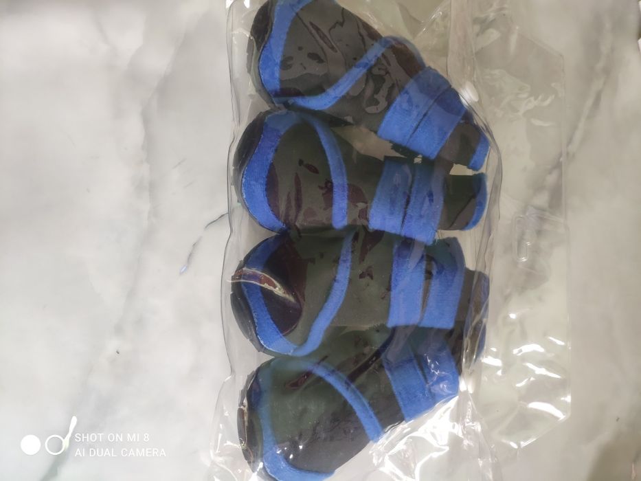 Взуття для собак