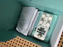 Ehx Pico Deep Freeze