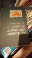 Анатомия домашних животных, рецептурный справочник медицины, договорна