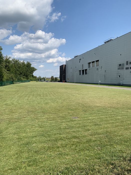 Культивація.Скарифікація.Аерація.Перекопка.Посів трави.Прибирання