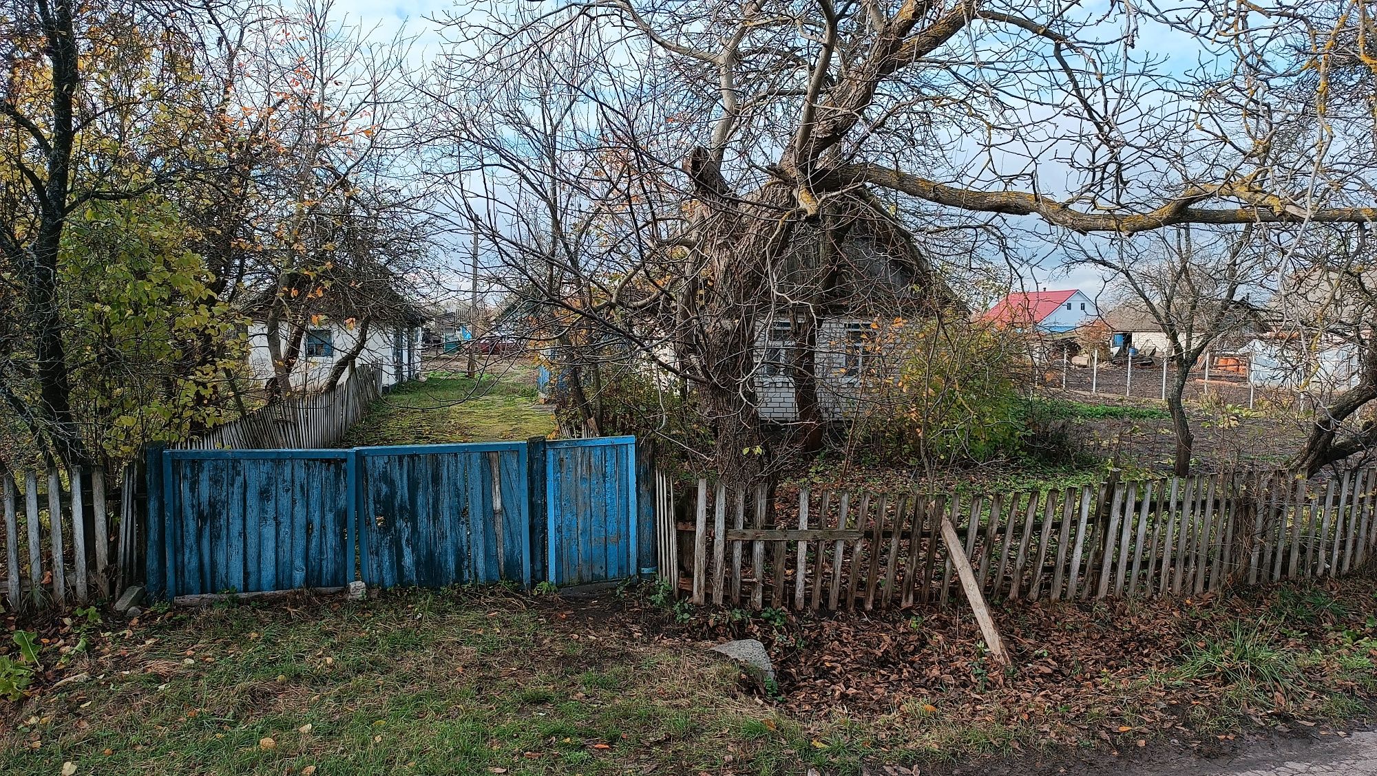 Продам земельну ділянку в с.Оліївка зі старим будинком