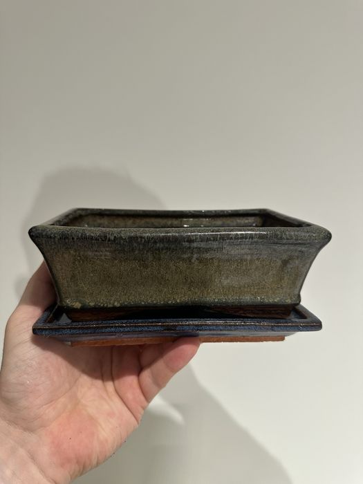 Горщик для бонсай, фікуса розміром 19x7x12