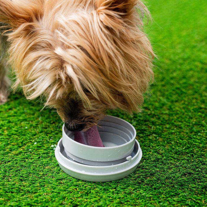 Guia Extensivel Retratil para cães