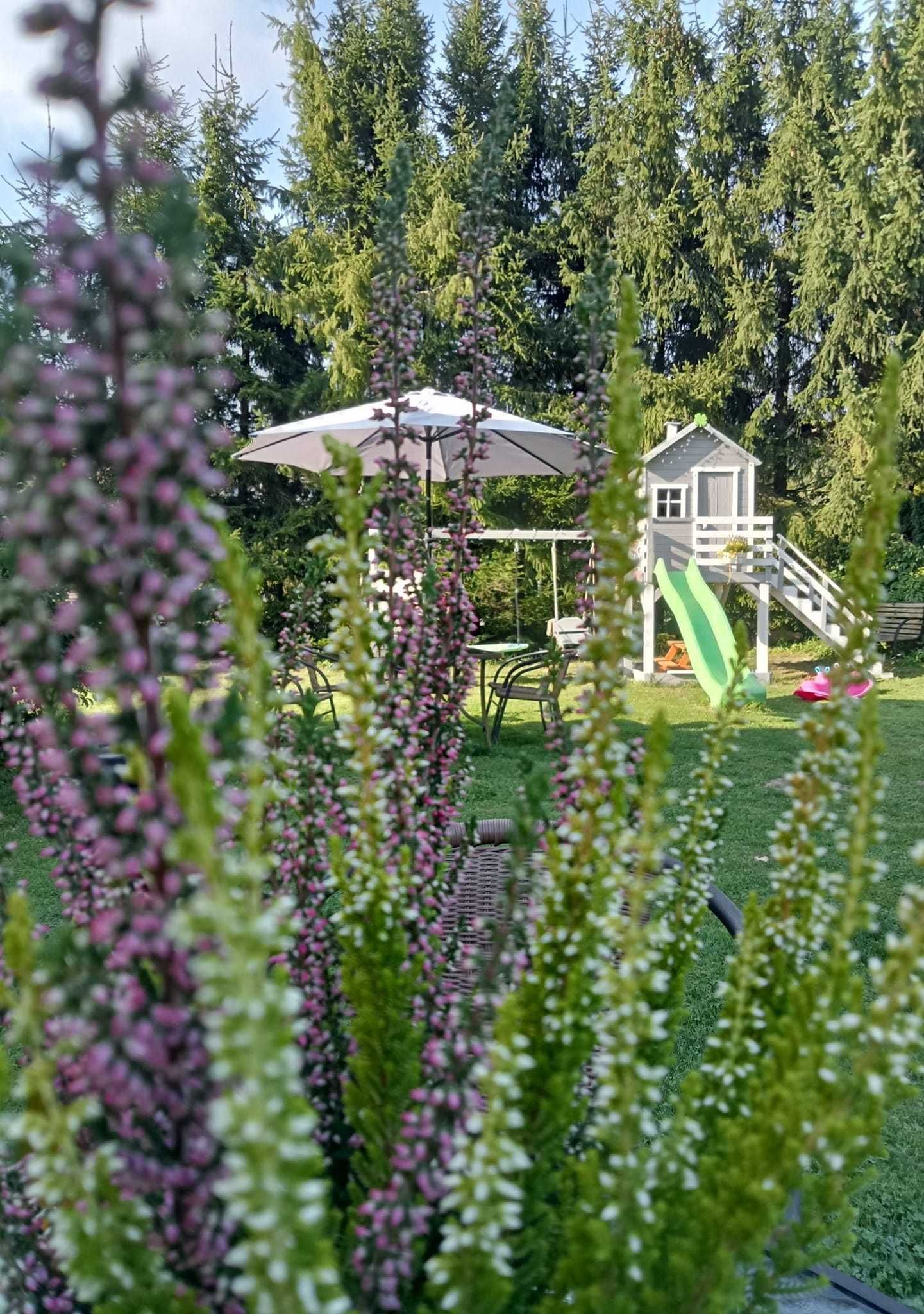Wolne od 28.07!Klimatyzowany Dwupokojowy Apartament Przy Lesie;