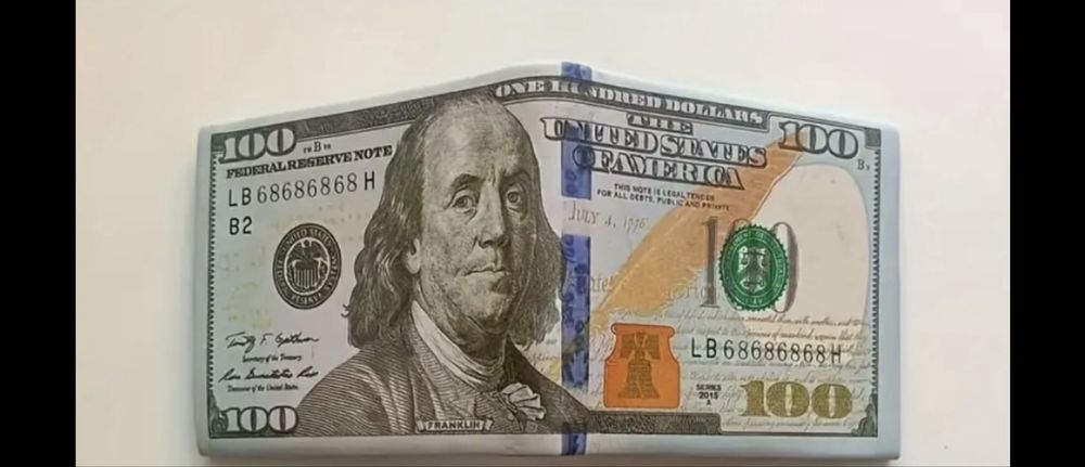 Carteira Dolar/Porta moedas