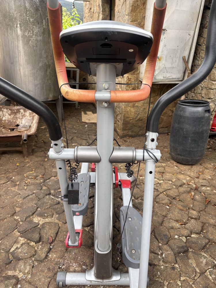 Bicicleta eplitica